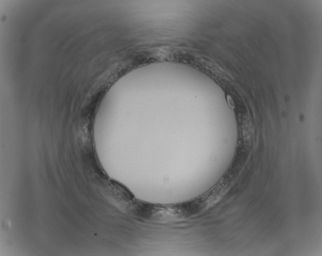 X0000077280611200611101319