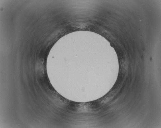 X0000077280612200611101319