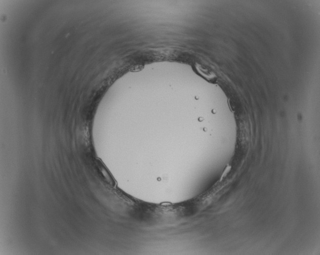 X0000077280613200611101319