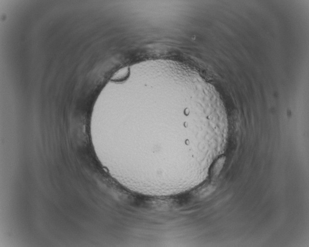 X0000077280615200611101319