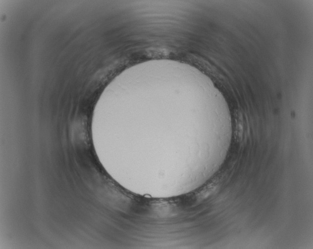 X0000077280616200611101319