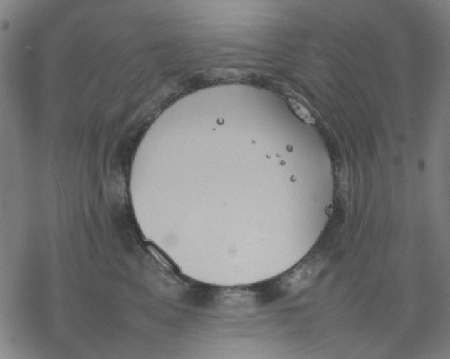 X0000077280617200611101319