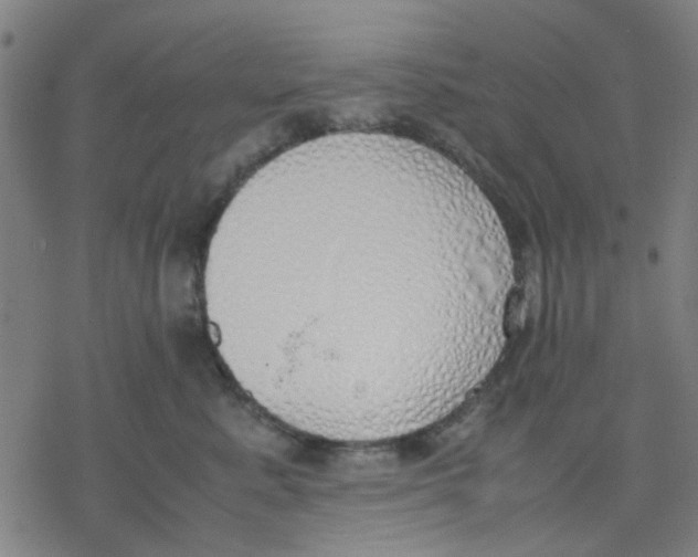 X0000077280619200611101319