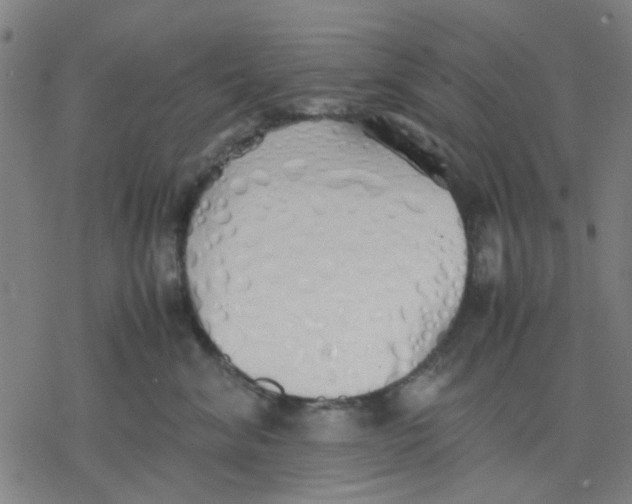 X0000077280620200611101319