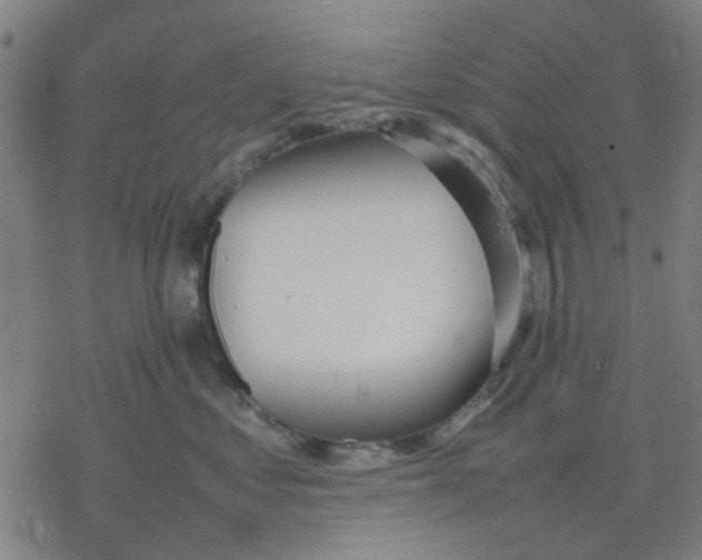 X0000077280621200611101319