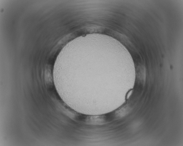 X0000077280622200611101319