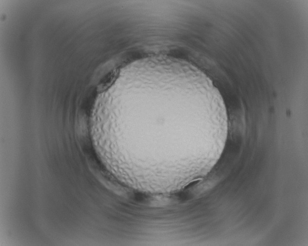 X0000077280623200611101319