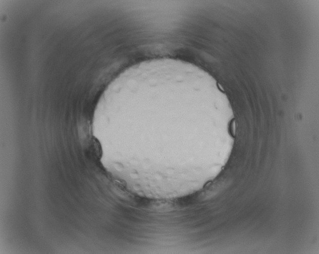 X0000077280624200611101319