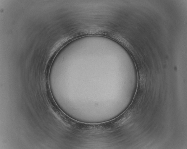 X0000077280626200611101318