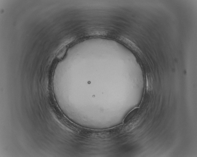 X0000077280627200611101318