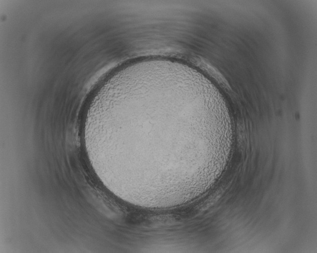 X0000077280628200611101318