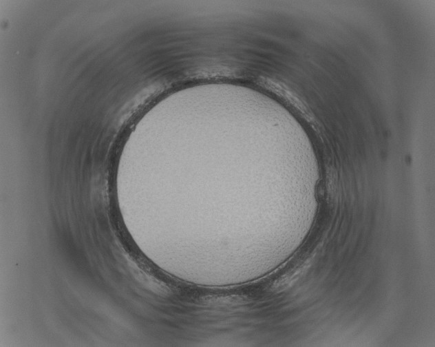 X0000077280629200611101318