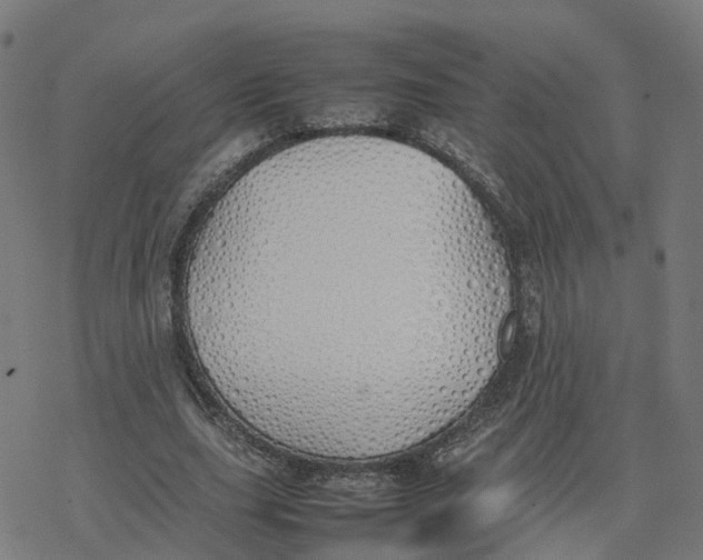 X0000077280631200611101319