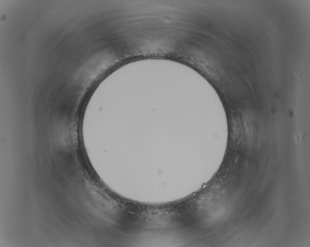 X0000077280632200611101319