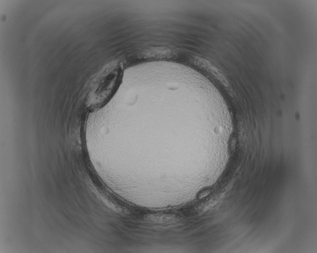 X0000077280633200611101319