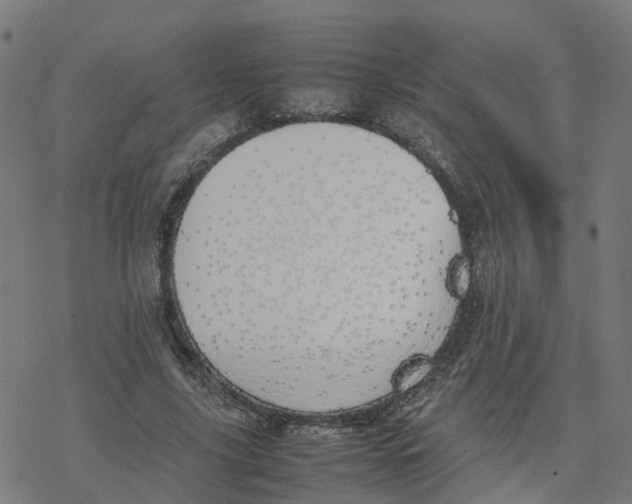 X0000077280635200611101319