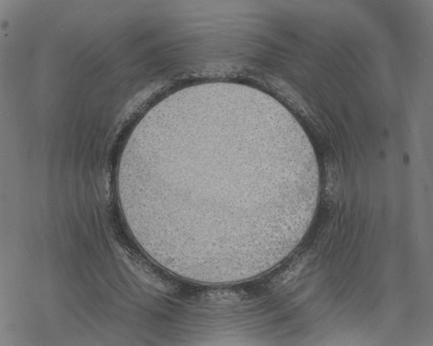 X0000077280636200611101319