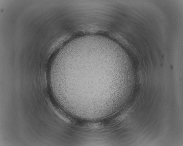 X0000077280638200611101319