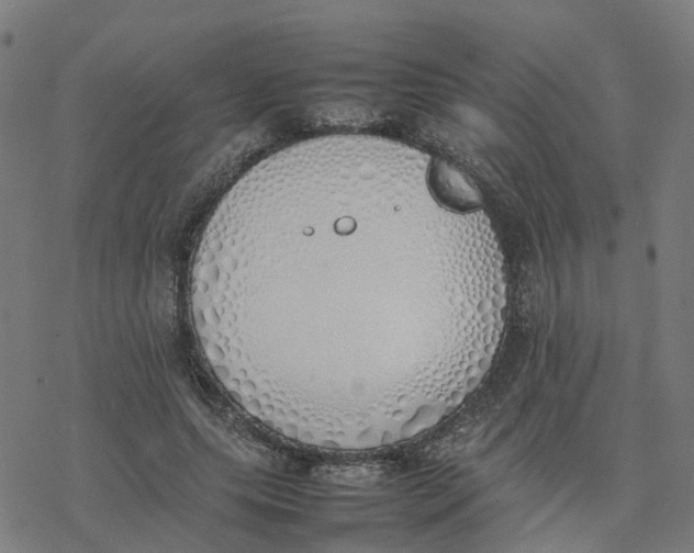 X0000077280639200611101319