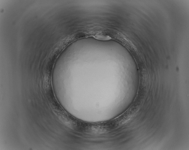 X0000077280641200611101319