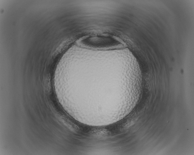 X0000077280642200611101319