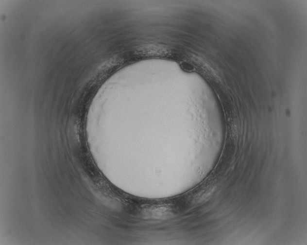 X0000077280643200611101319