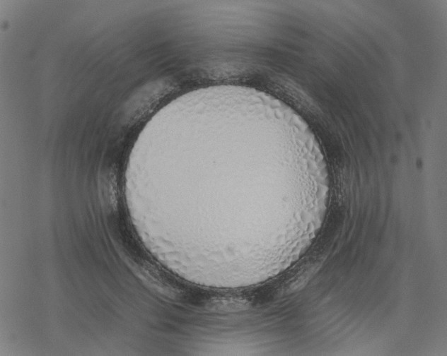 X0000077280644200611101319