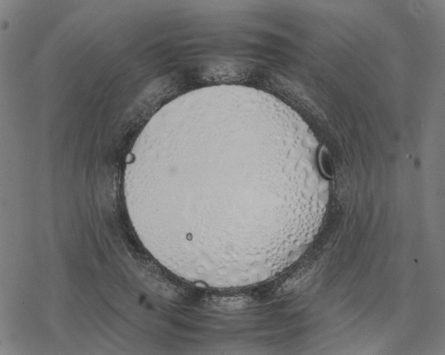 X0000077280645200611101319