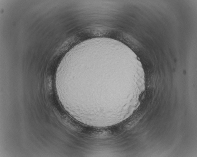 X0000077280646200611101319