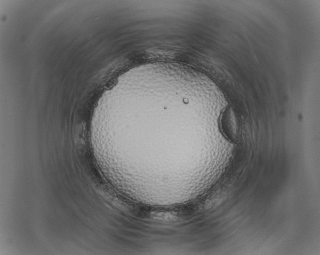 X0000077280649200611101319