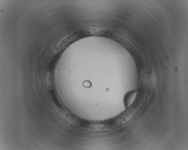 X0000077280650200611101319