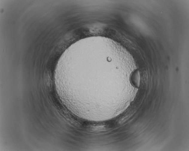 X0000077280651200611101319