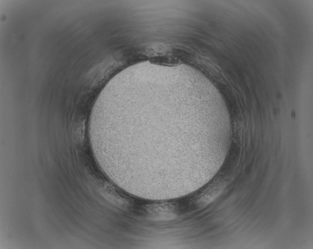 X0000077280652200611101319