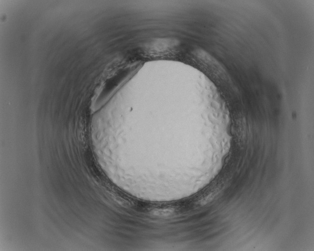 X0000077280653200611101319