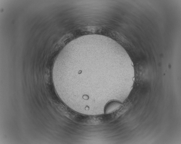 X0000077280656200611101319