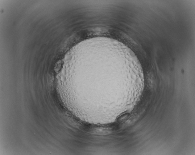 X0000077280657200611101319