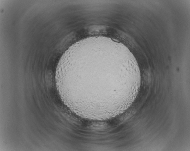 X0000077280659200611101319