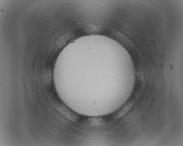 X0000077280660200611101319