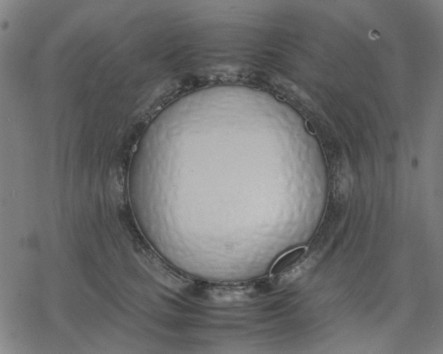 X0000077280661200611101319