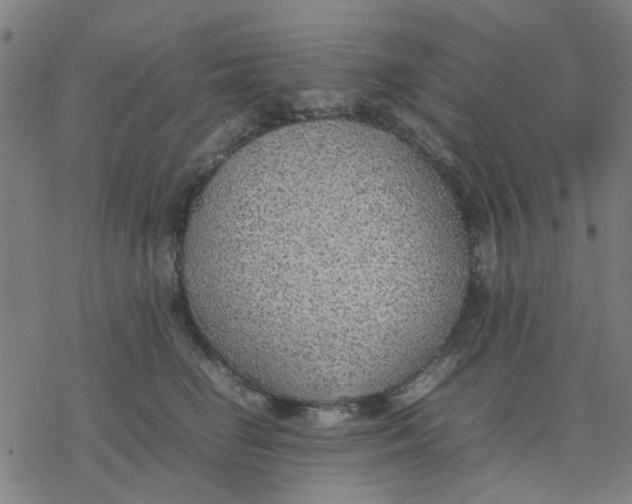 X0000077280662200611101319