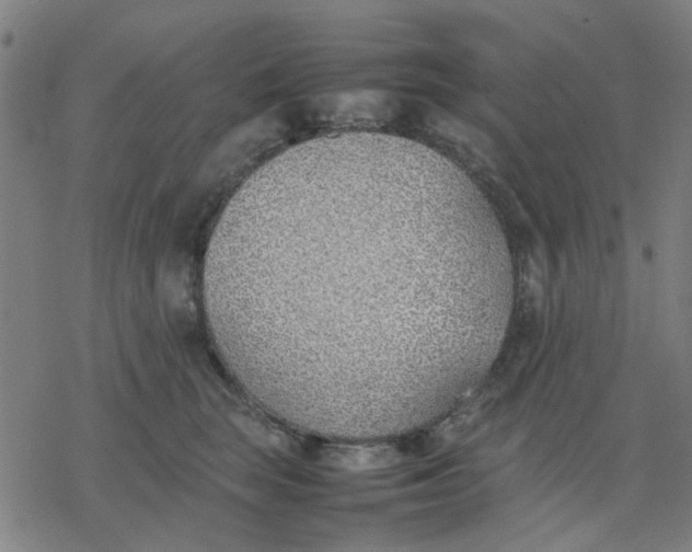 X0000077280663200611101319