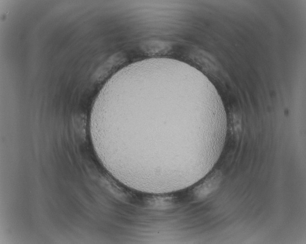 X0000077280664200611101319