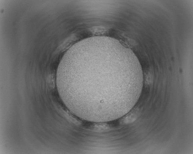 X0000077280666200611101319