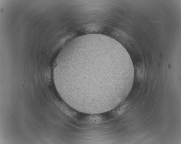 X0000077280668200611101319