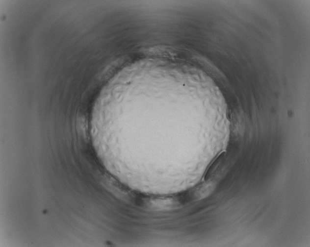 X0000077280669200611101319