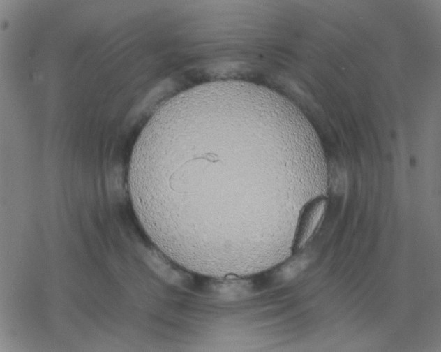 X0000077280670200611101319