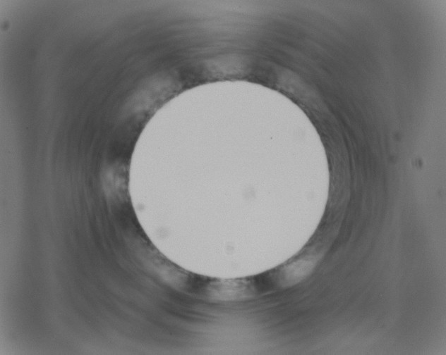 X0000077280672200611101319