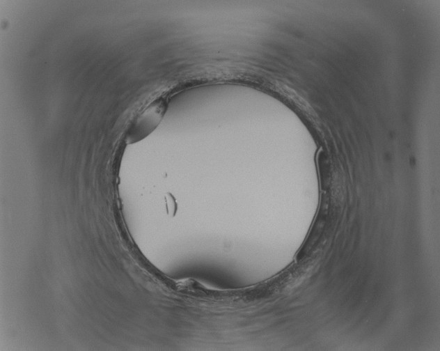 X0000077280673200611101318