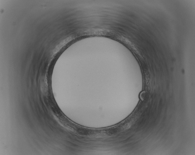 X0000077280674200611101318