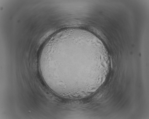 X0000077280675200611101318